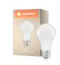 Ledvance Classic LED E27 Gruszka Matowy 8.5W 806lm - 840 Zimna Biel | Zamienne 60W